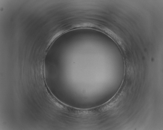 X0000051240945200506241518