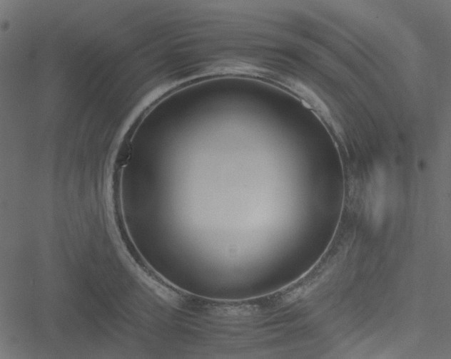 X0000051240947200506241518