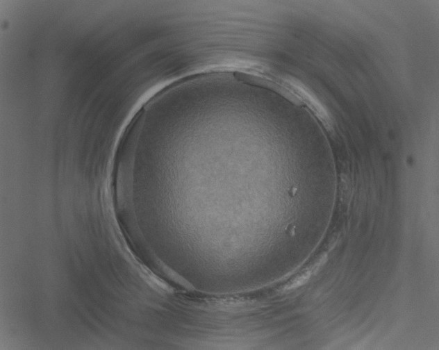 X0000051240948200506241518