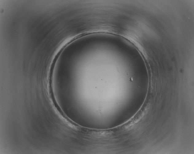 X0000051240949200506241518