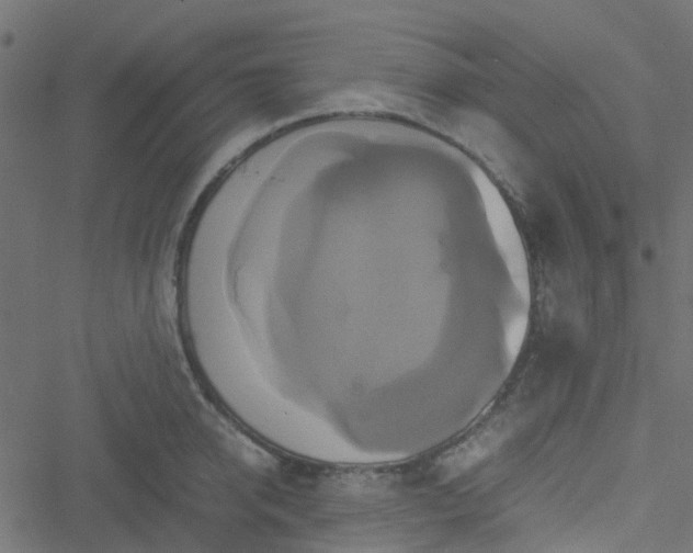 X0000051240950200506241518