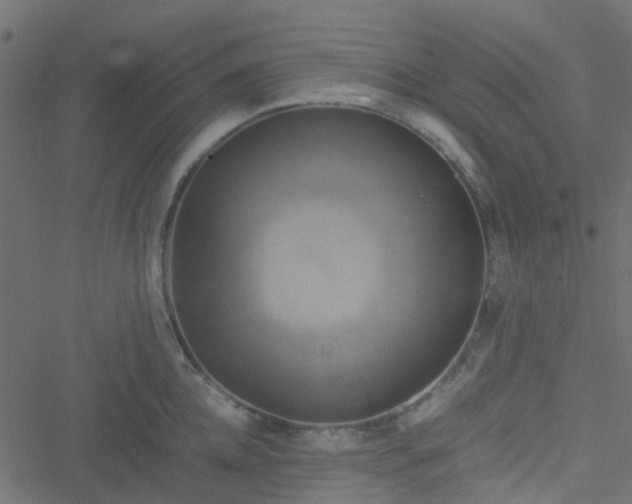 X0000051240952200506241518