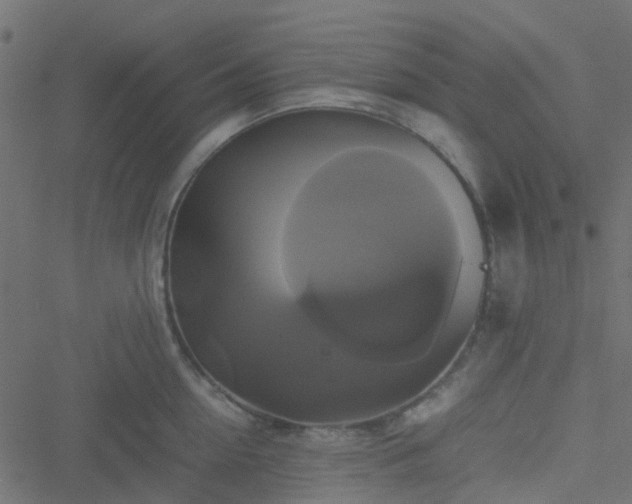 X0000051240954200506241518