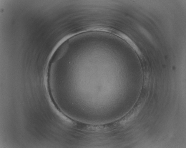 X0000051240955200506241518