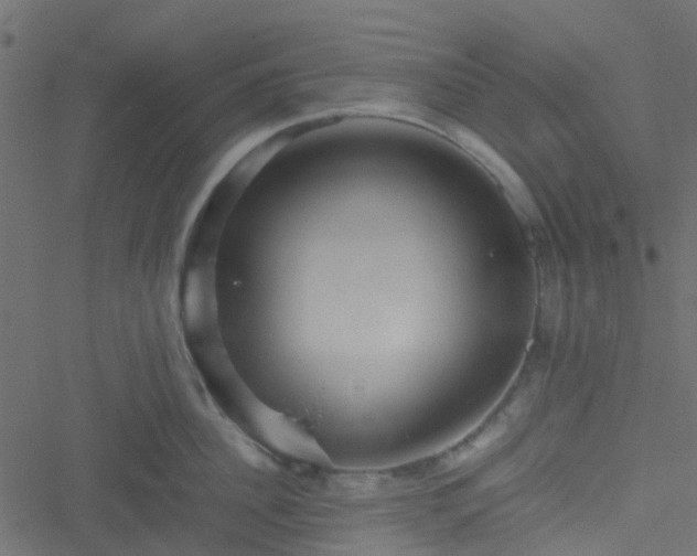 X0000051240956200506241518