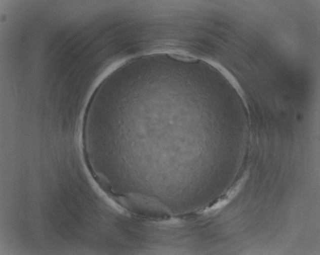 X0000051240957200506241518