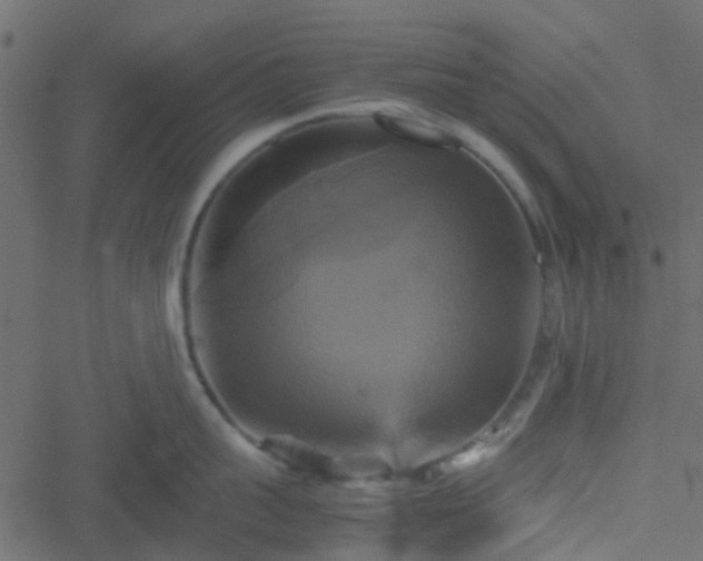 X0000051240959200506241518