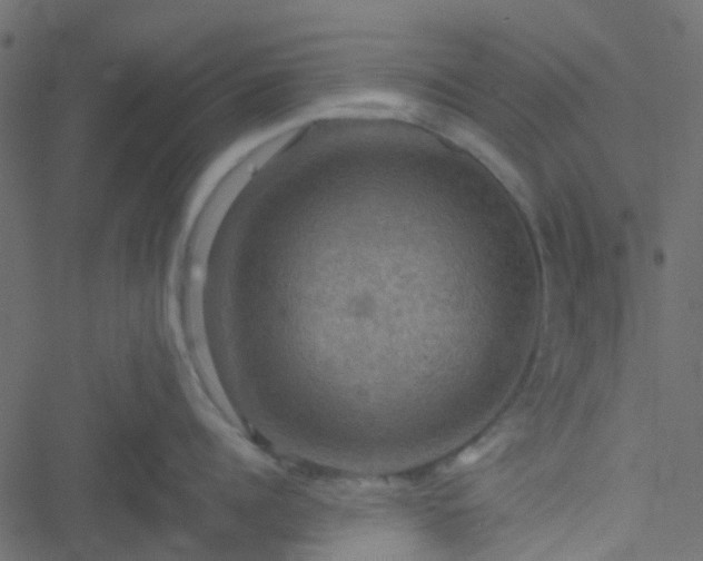 X0000051240960200506241518