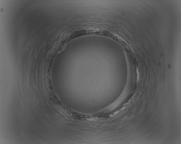 X0000051240961200506241517