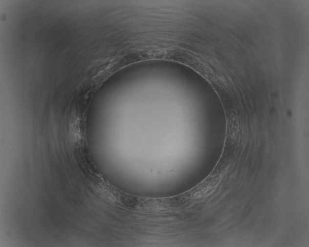 X0000051240962200506241517