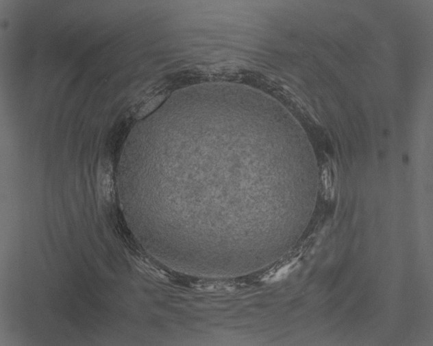 X0000051240963200506241517