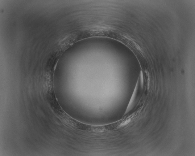 X0000051240964200506241517