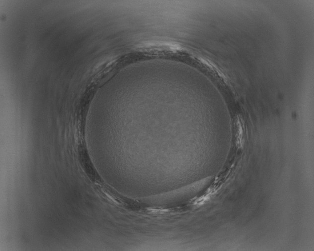 X0000051240965200506241517