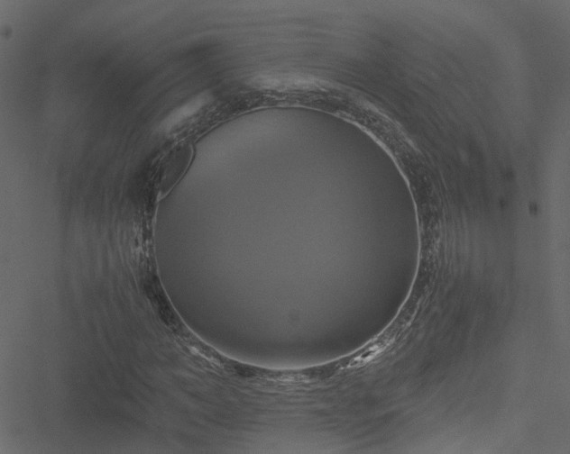 X0000051240966200506241517