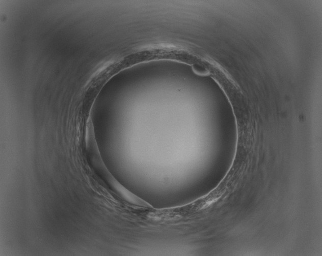 X0000051240967200506241517