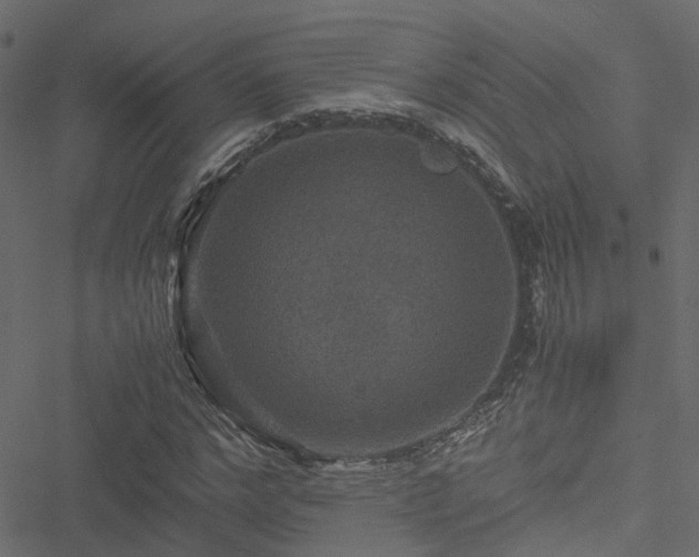 X0000051240968200506241517