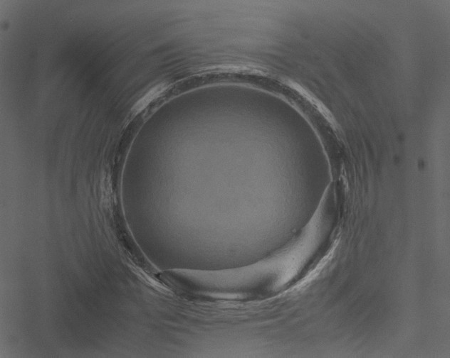 X0000051240969200506241517