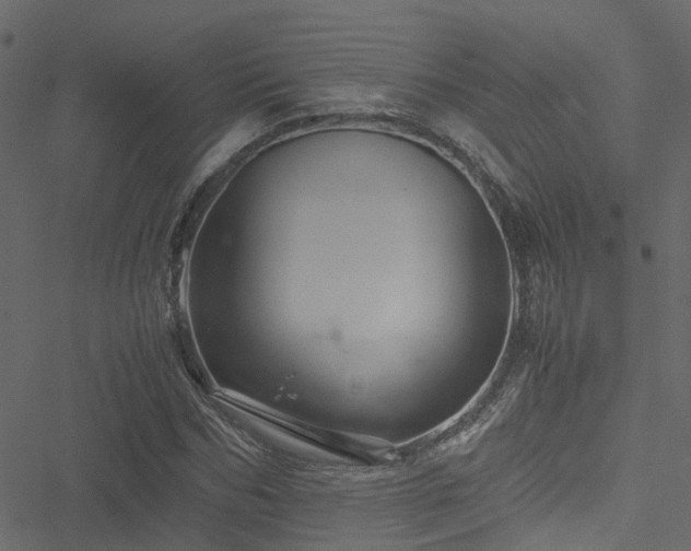 X0000051240970200506241517