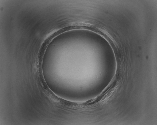 X0000051240971200506241517