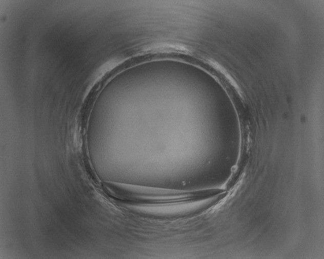 X0000051240973200506241517