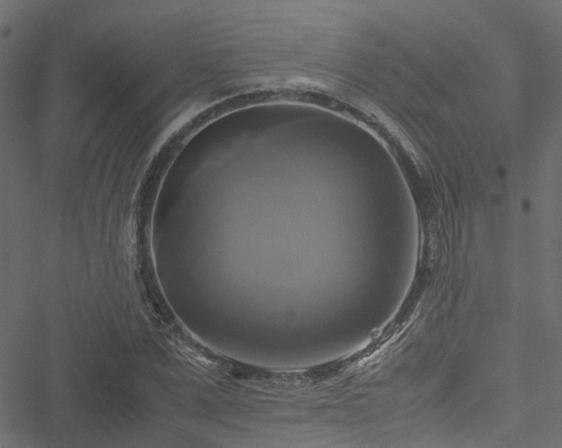 X0000051240975200506241517