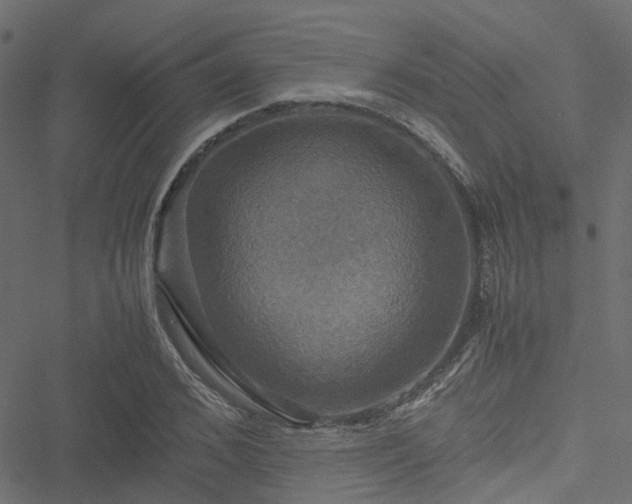 X0000051240976200506241517