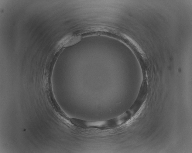 X0000051240977200506241517