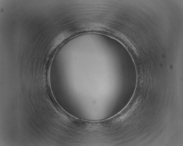 X0000051240978200506241517