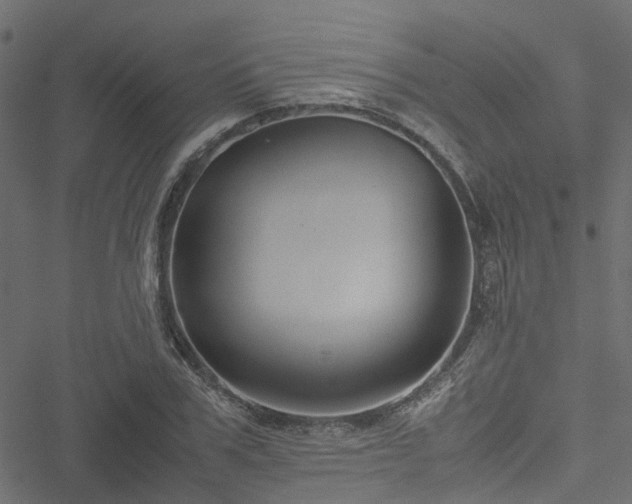 X0000051240979200506241517