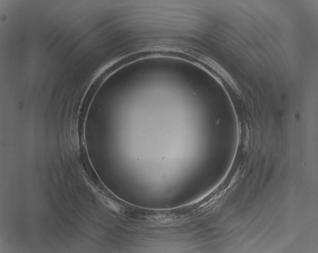 X0000051240980200506241517