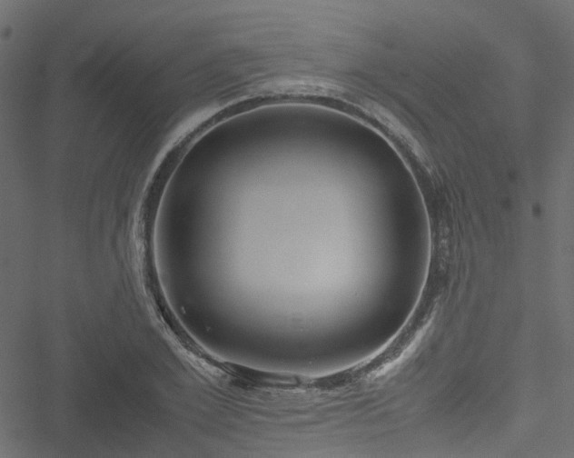 X0000051240981200506241517