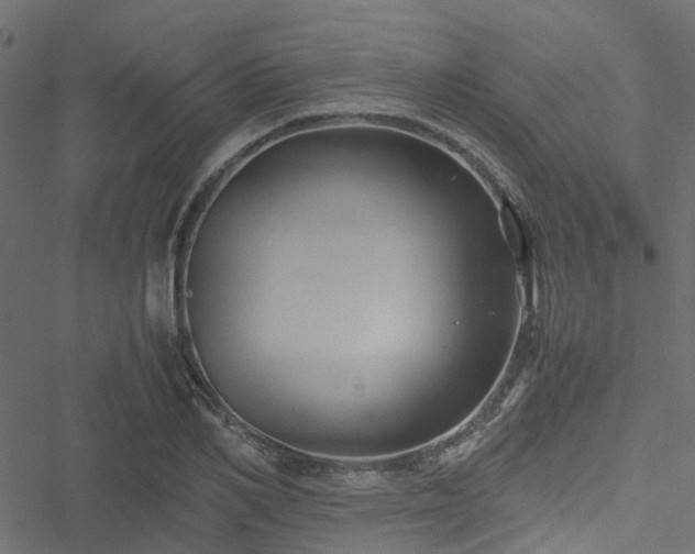 X0000051240982200506241517