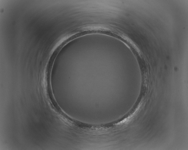 X0000051240983200506241517