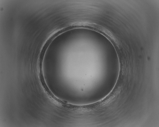 X0000051240984200506241517