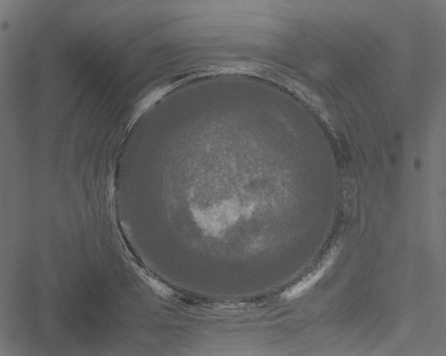 X0000051240985200506241517