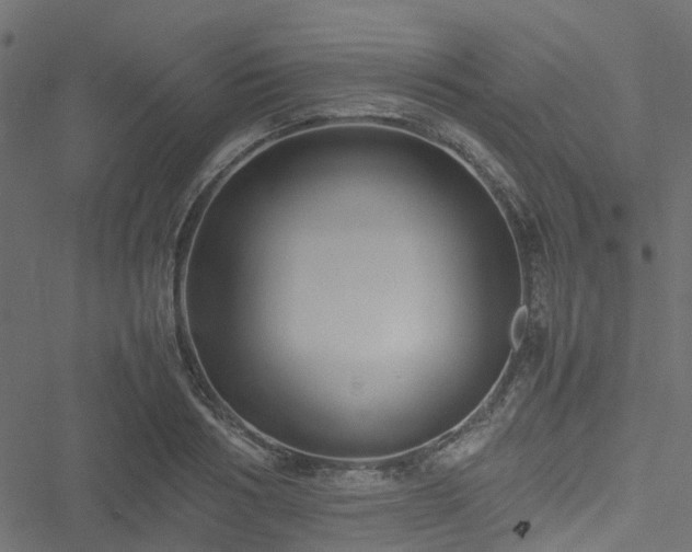 X0000051240986200506241517