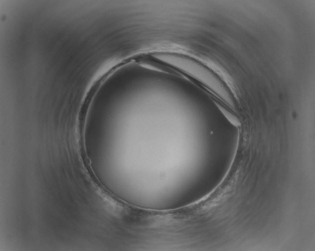 X0000051240990200506241517