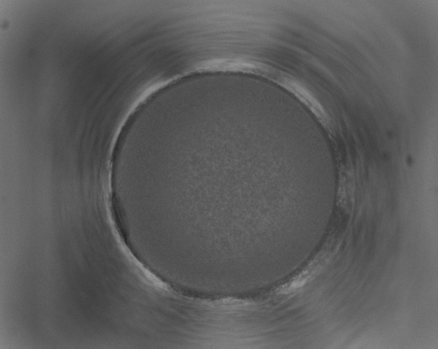 X0000051240992200506241517