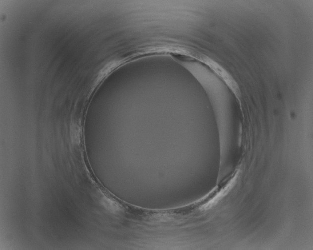 X0000051240993200506241517