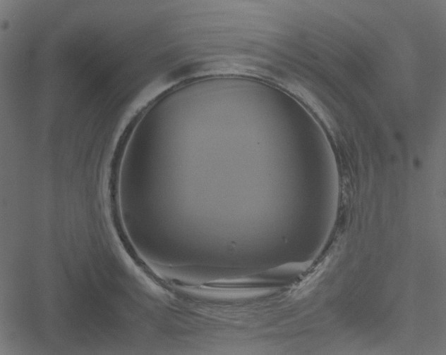 X0000051240995200506241517