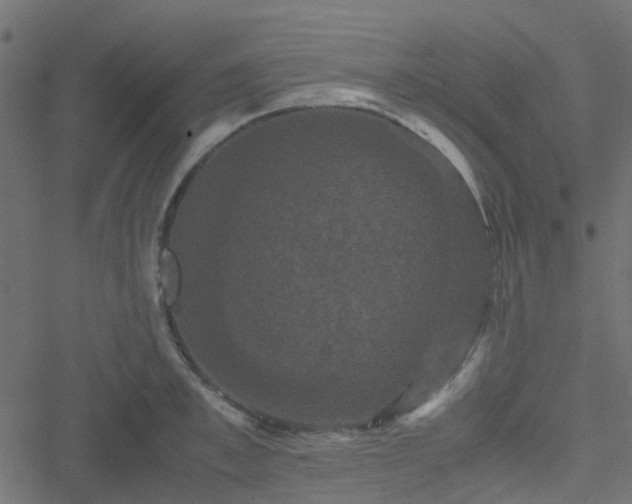 X0000051240997200506241517