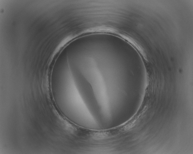 X0000051240998200506241517