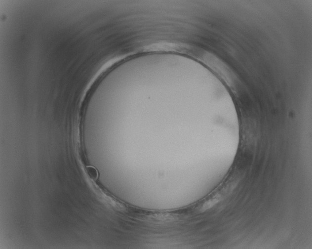 X0000051241000200506241517