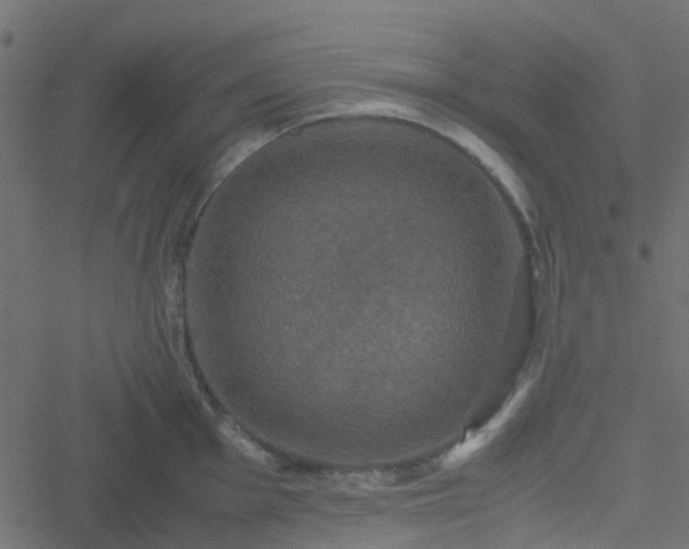 X0000051241001200506241517