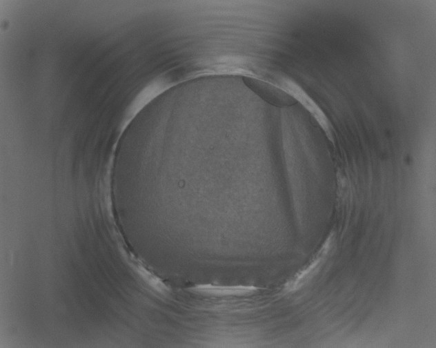 X0000051241002200506241517