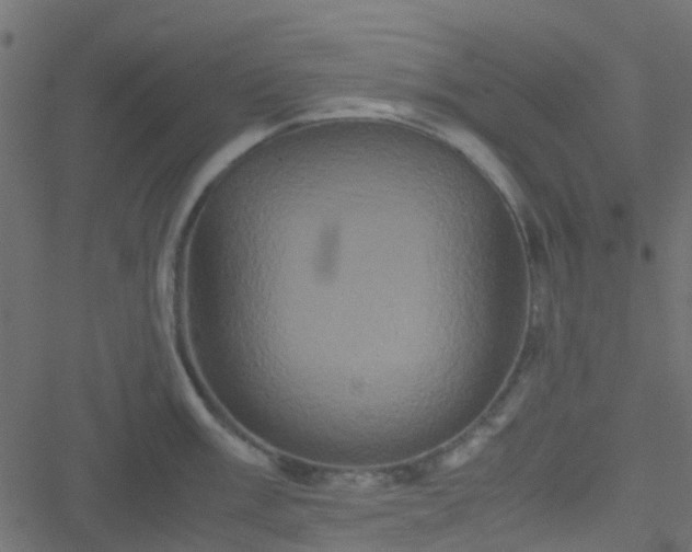 X0000051241003200506241517