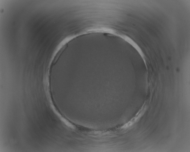 X0000051241005200506241516