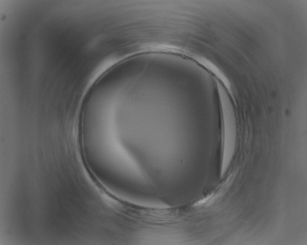 X0000051241007200506241516