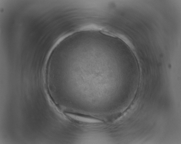 X0000051241008200506241516