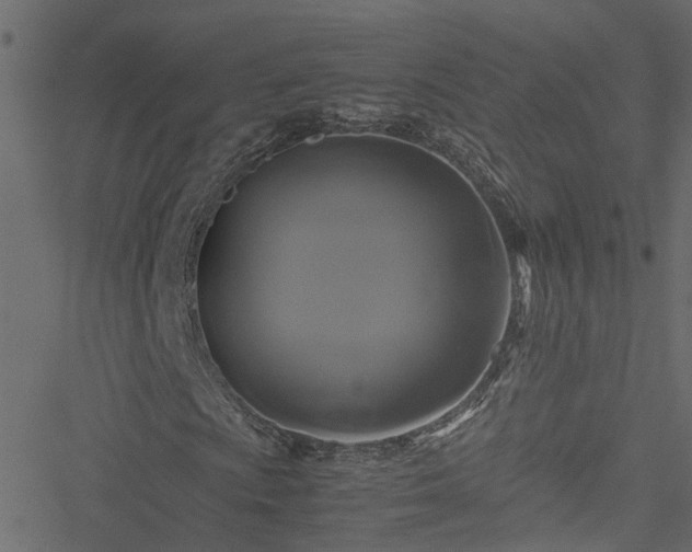 X0000051241009200506241516